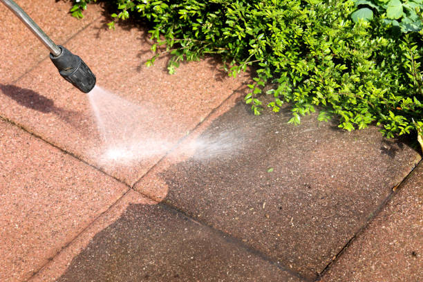 Best Pressure Washing Company Near Me  in Chilton, WI